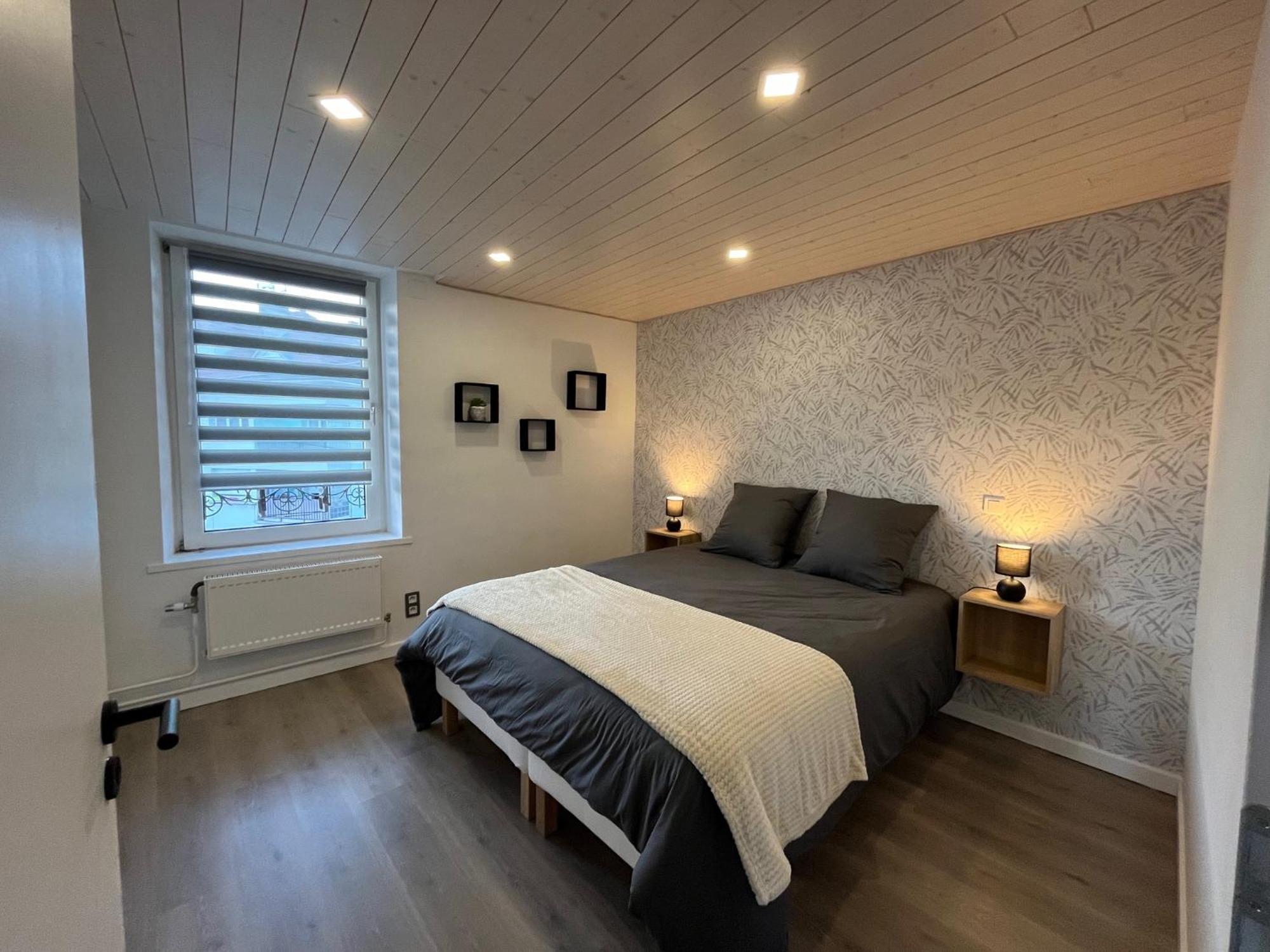 Appartement St Eloi 75M² Saint-Die-des-Vosges Екстер'єр фото
